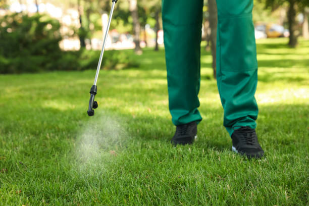 Pest Prevention Services in Cottage Lake, WA