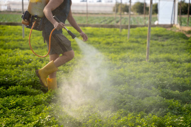 Best Affordable Pest Control Services  in Cottage Lake, WA