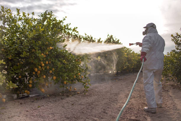 Professional Pest Control in Cottage Lake, WA
