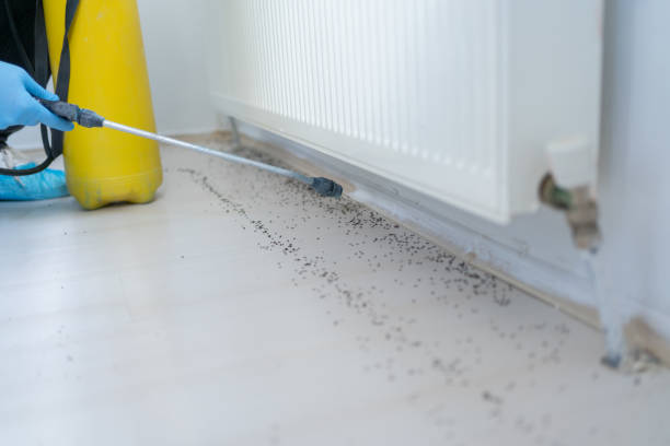 Best Cockroach Control Services  in Cottage Lake, WA