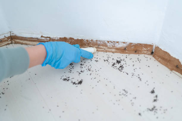 Best Best Pest Control Companies  in Cottage Lake, WA