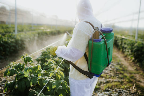 Professional Pest Control in Cottage Lake, WA